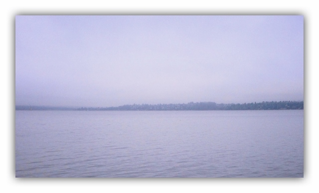 Morning meditation on the lake 